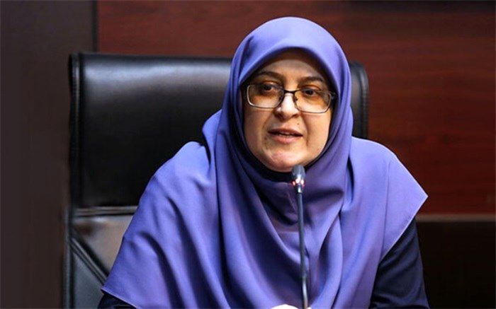 مهاجرانی: دولت مصمم به بازگشت اتباع غیرمجاز است