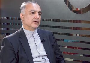اطلاعاتی داریم که ریزپرنده‌ها از کشور همسایه وارد ایران شده است