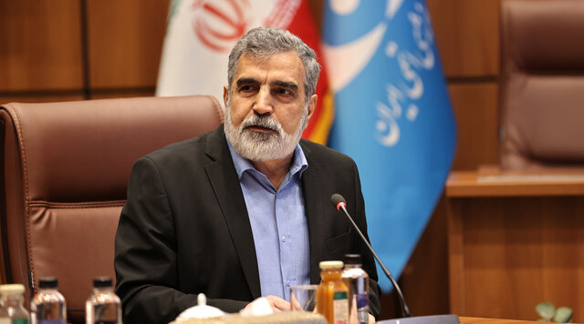 کمالوندی: حتی صدور قطعنامه به اسنپ‌بک منجر نمی‌شود