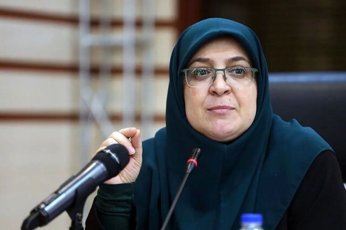 مهاجرانی: در جنگ ۱۲ روزه تحمیلی شاهد شلیک به صلح، علم و رسانه بودیم