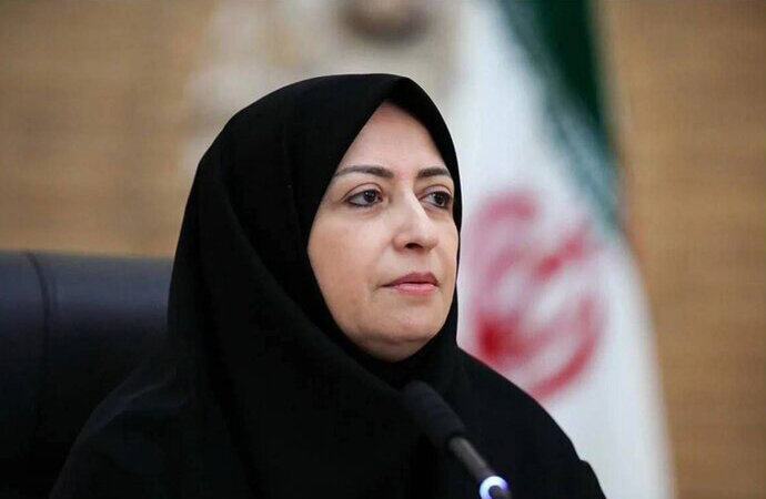شینا انصاری: همه دستگاهها در موضوع گردو غبار پای کار باشند
