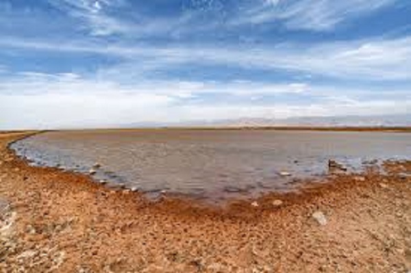 بقای زیست بوم تالاب صالحیه در گرو تامین کافی حق آبه تالاب