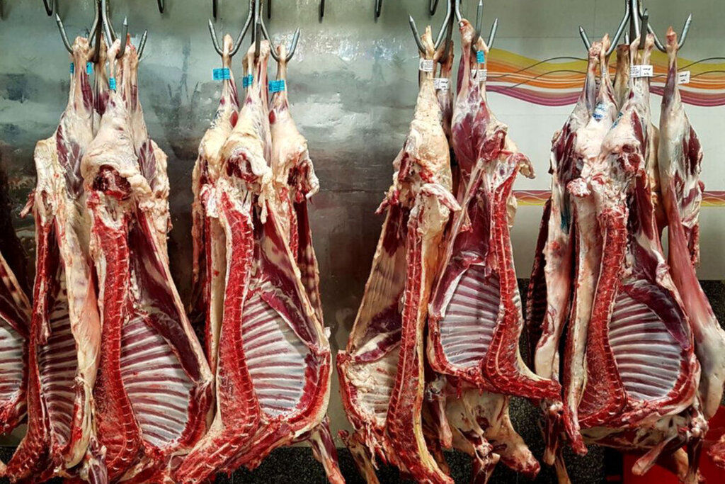 سوداگری در بازار دام و گوشت قرمز