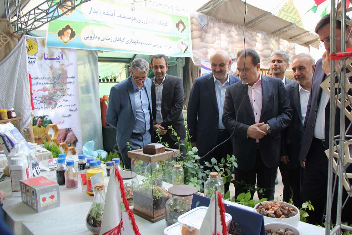 کاهش هزینه های تولید و ارتقای بهره وری با استفاده از یافته های علمی کشاورزی محقق می شود