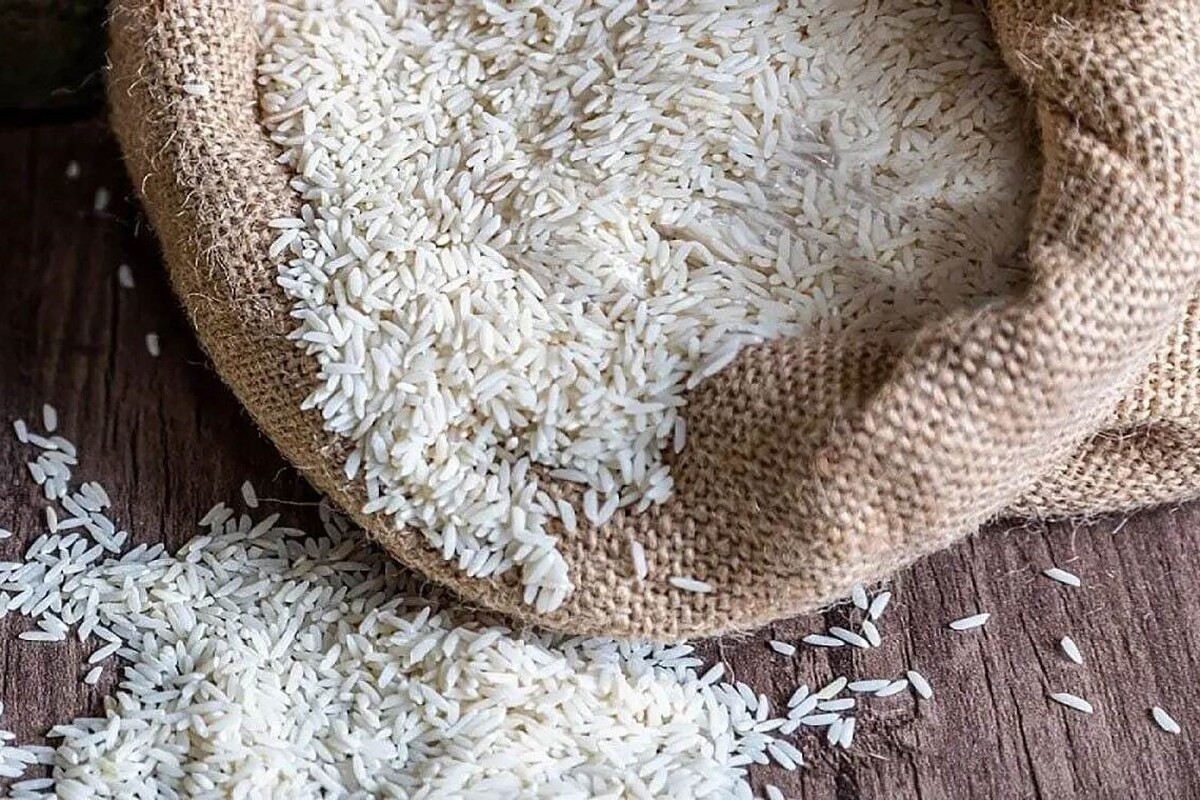 ابطال ثبت سفارش برنج و واگذاری مجوز به واردکنندگان توانمند
