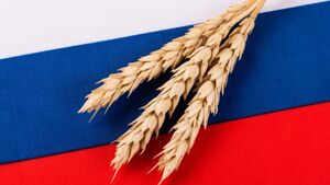 روسیه با گندم به جنگ دلار آمریکا رفت