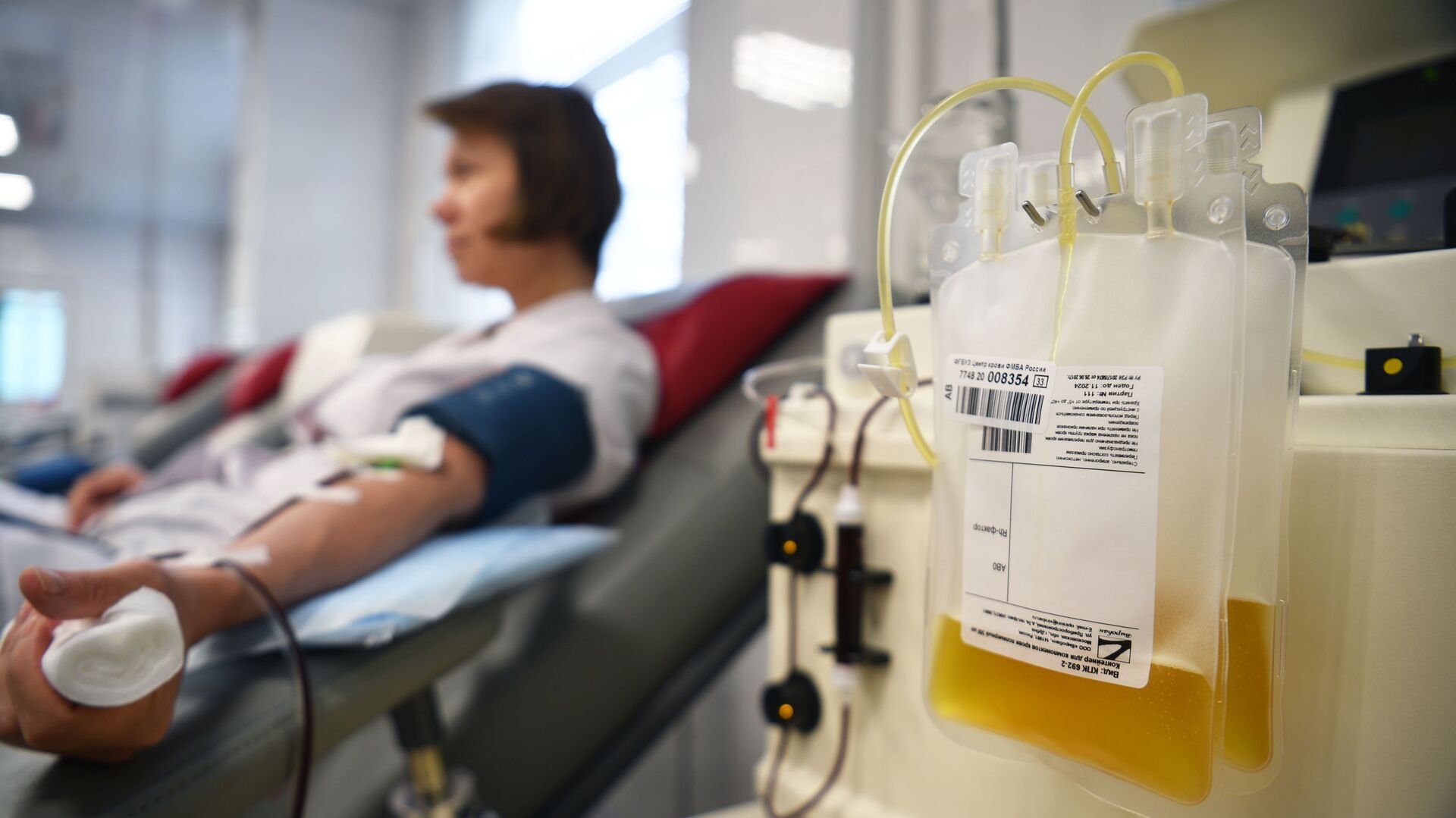 صادرات پلاسما قانونی بوده است