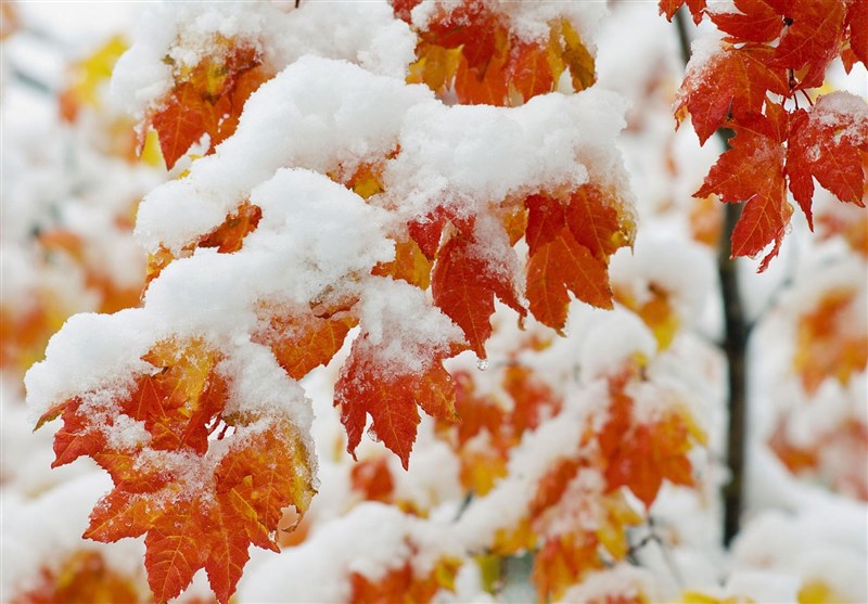 هشدار ناپایداری جوی در ۹ استان تا سه‌شنبه