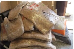 کشف ۵۸۵ کیلوگرم مواد مخدر در مرسولات پستی