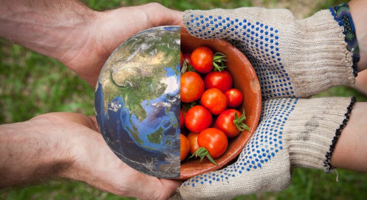 مناقشات نظامی و تهدید جدی امنیت غذایی در جهان