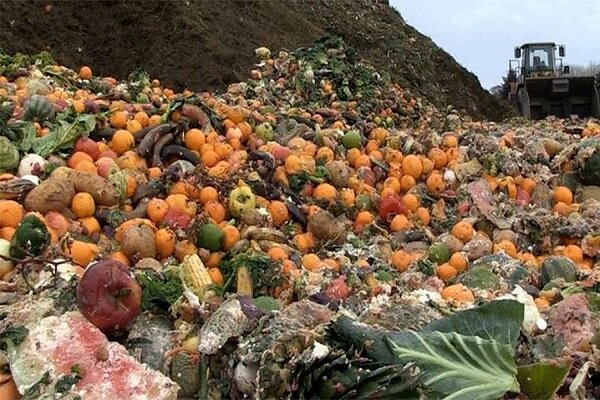 زنجیره ناقص؛ دلیل اصلی دورریز محصولات کشاورزی