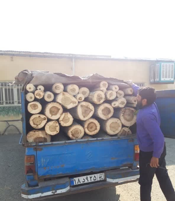کشف محموله ۲ تنی قاچاق چوب در کرج