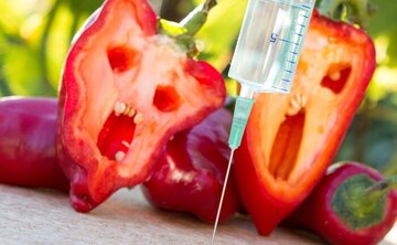 اجرای شوی تراریخته برای حفظ منافع واردکنندگان