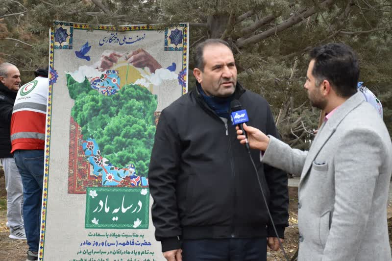 امسال در استان بیش از ۶۰۰ هزار اصله نهال کاشته خواهد شد