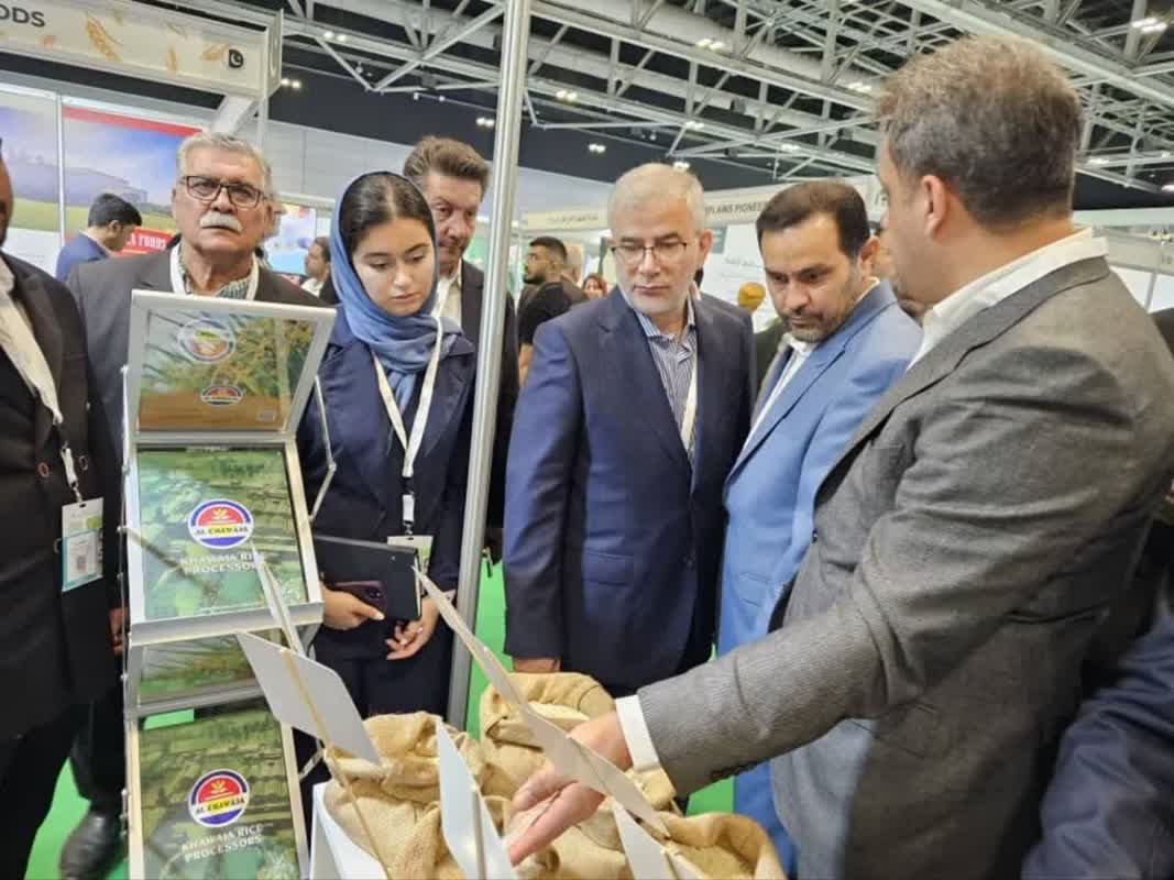 البرز در مسیر دیپلماسی صنعتی/ روایت مدیرکل صمت البرز از فرصت‌های تازه همکاری با عمان