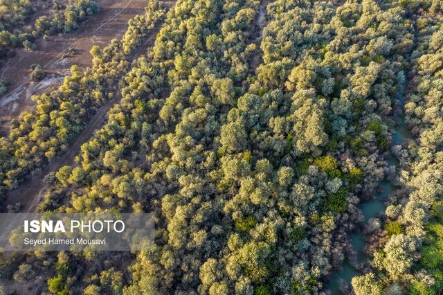 اراضی تصرف‌شده منطقه «دز» به طبیعت بازمی‌گردد