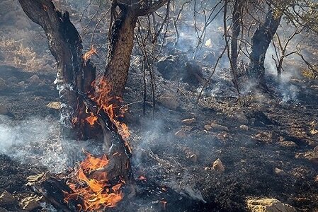 اطفای کامل حریق در عرصه‌های جنگلی 9 شهرستان گلستان