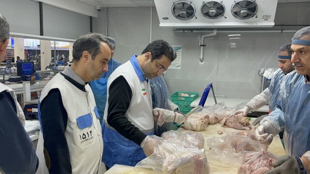 17 اکیپ نظارتی دامپزشکی البرز در ماه مبارک رمضان و ایام پایانی سال فعال می شوند