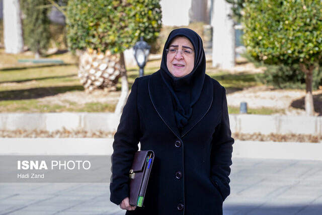 مهاجرانی: کشورهای دوست رویکرد مسئولانه‌ای در قبال تجاوز به ایران انخاذ کنند