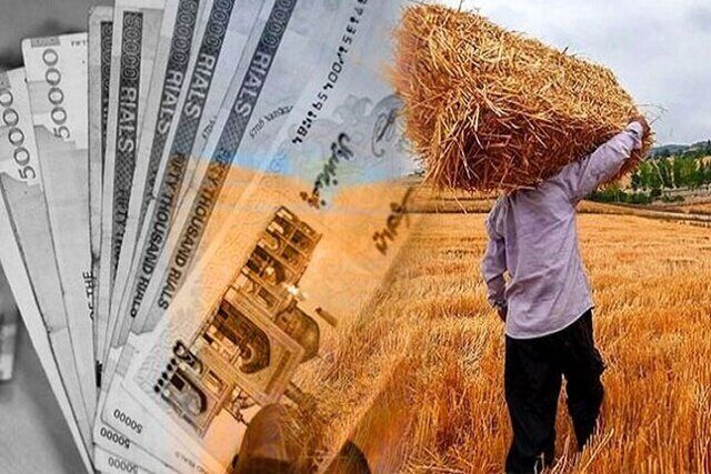 بخش نخست مطالبات گندم‌کاران واریز شد